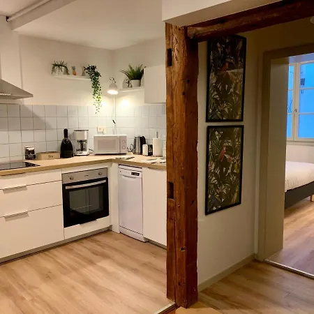 Appartements Des 2 Tetes Colmar Exterior foto
