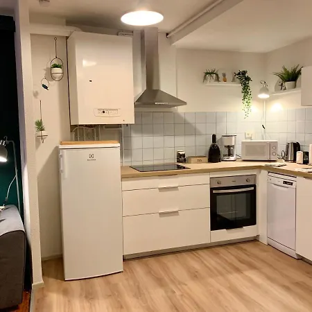 Appartements Des 2 Tetes Colmar Exterior foto