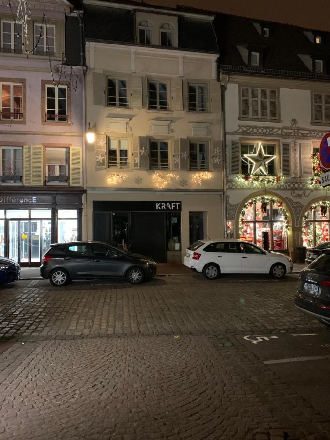 Des 2 Têtes Appartement Colmar