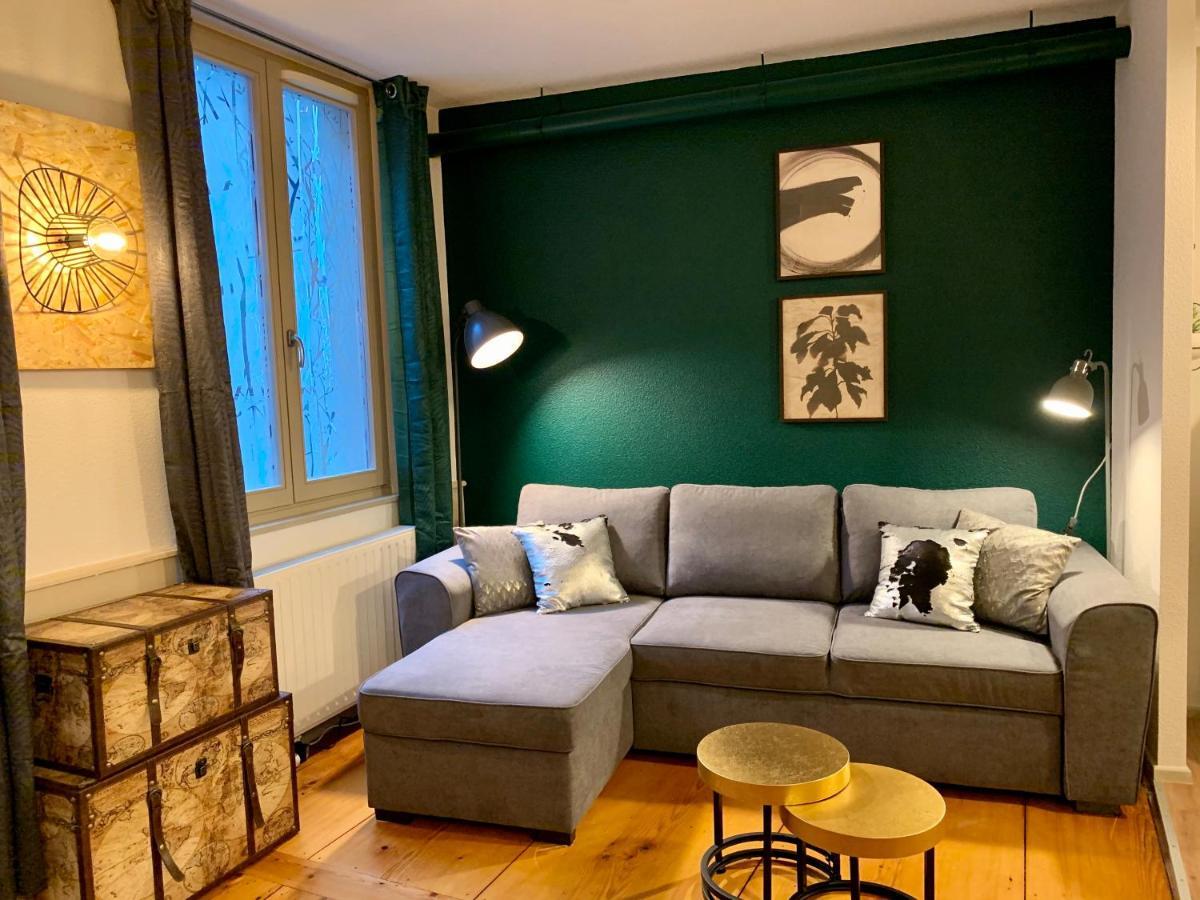 Des 2 Têtes Appartement Colmar